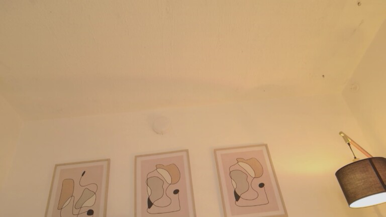 sofiasantana66's Streamate show and profile